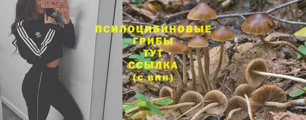 прущий лед Арсеньев