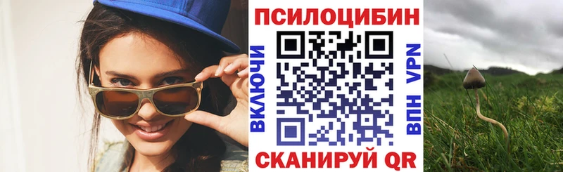 Галлюциногенные грибы Psilocybine cubensis  shop официальный сайт  Шумиха 